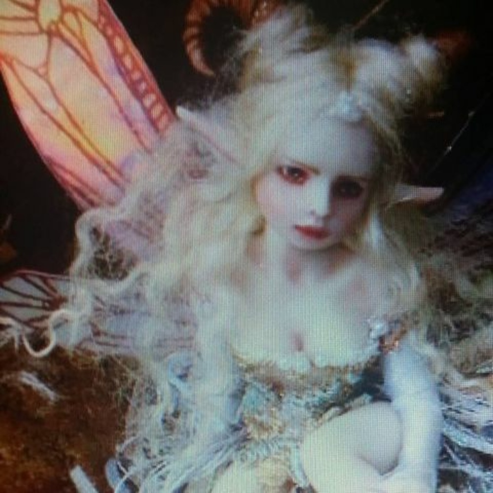 Meet your Posher, Hollie